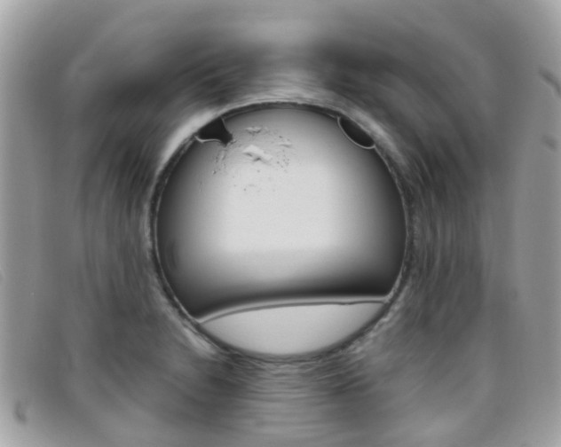 X0000095951230200801110909