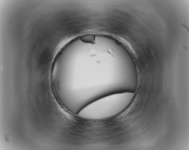 X0000095951231200801110909