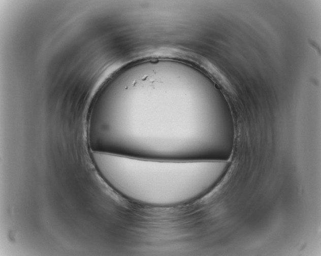 X0000095951232200801110909
