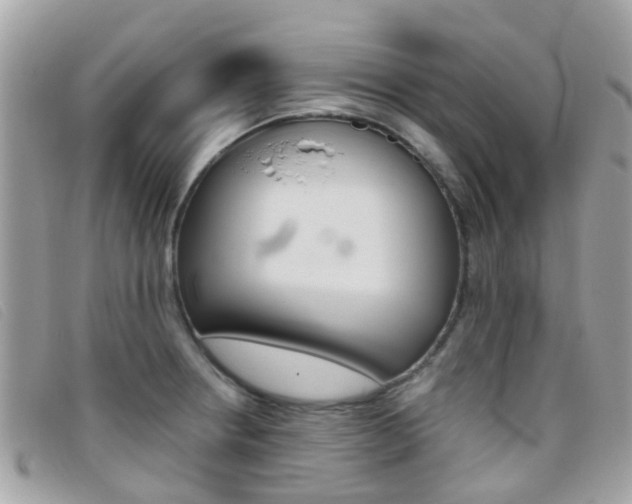 X0000095951234200801110909
