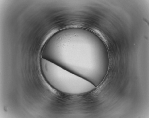 X0000095951235200801110909