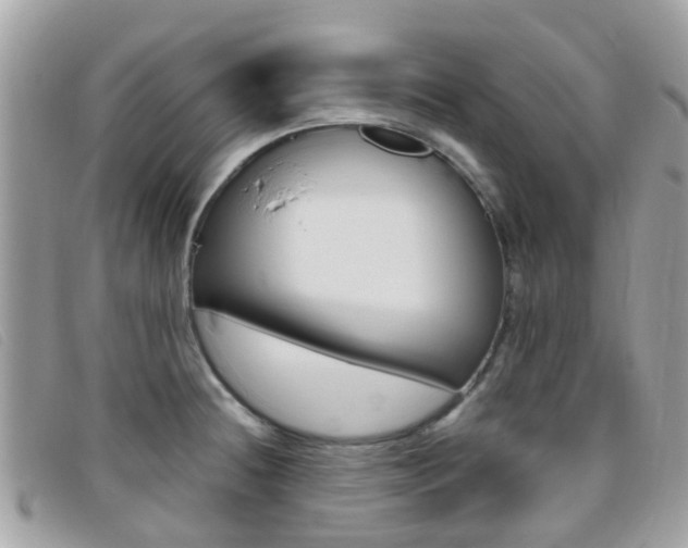 X0000095951236200801110909