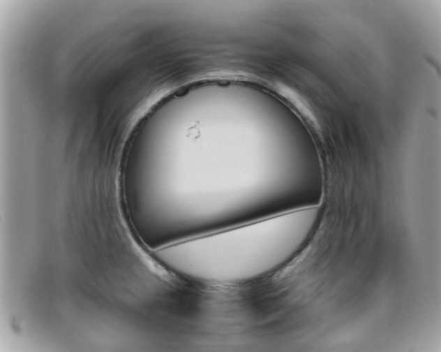 X0000095951237200801110909