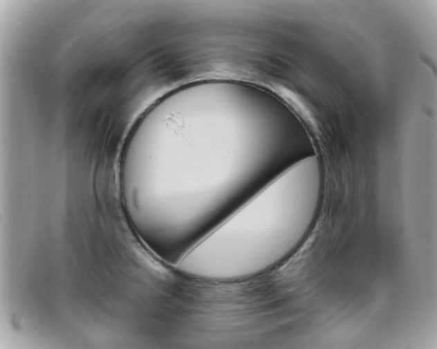 X0000095951238200801110909