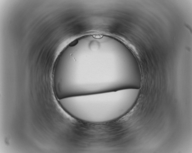 X0000095951239200801110909