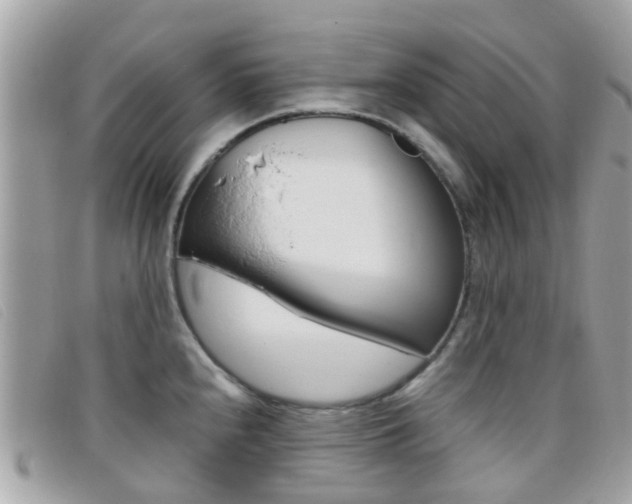X0000095951240200801110909