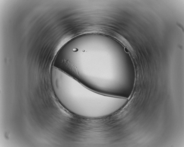 X0000095951242200801110909