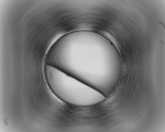 X0000095951243200801110909