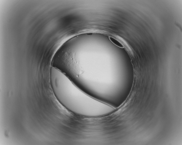 X0000095951244200801110909