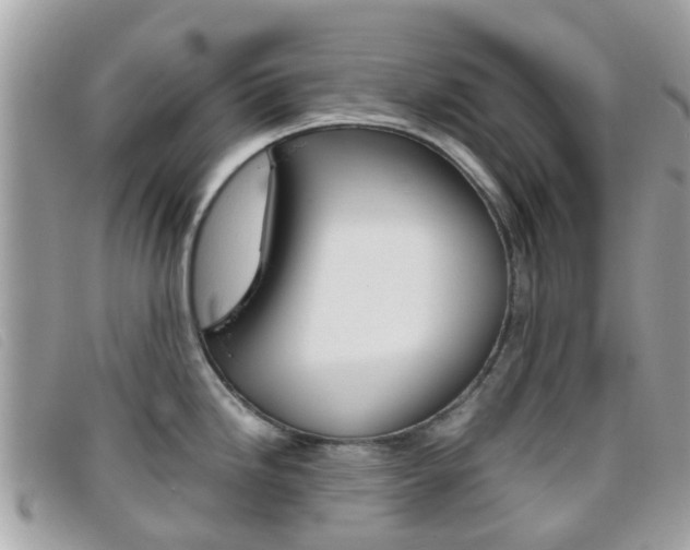 X0000095951246200801110909