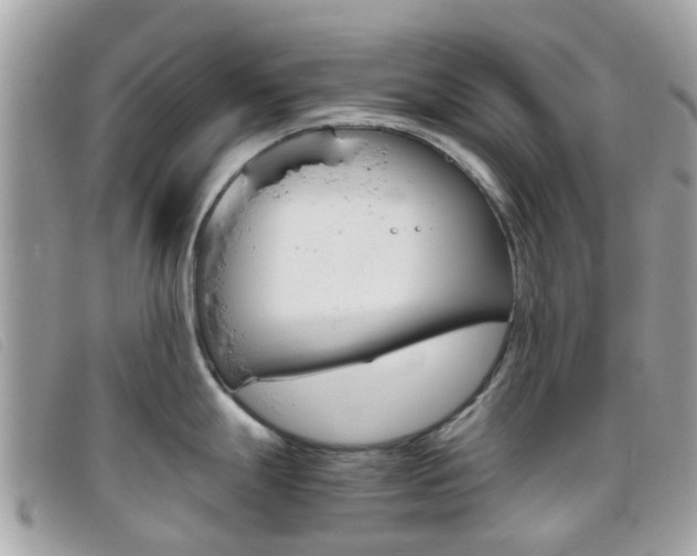 X0000095951247200801110909