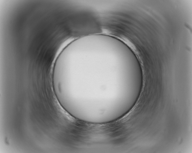 X0000095951248200801110909