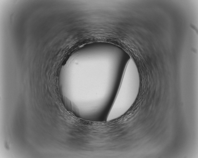 X0000095951249200801110908