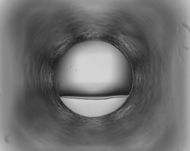 X0000095951250200801110908