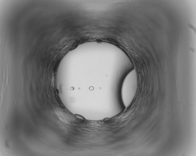 X0000095951251200801110908