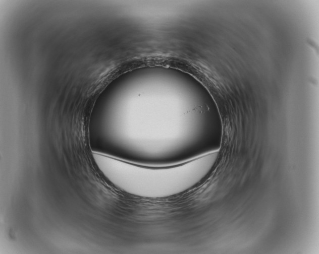 X0000095951252200801110908
