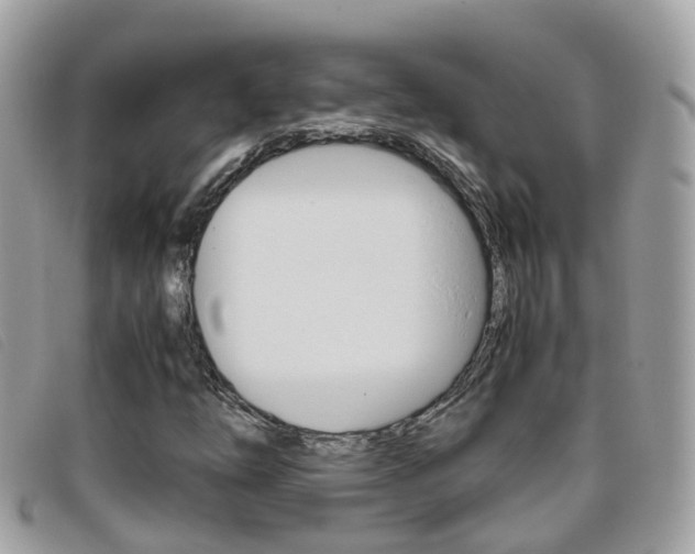 X0000095951254200801110908