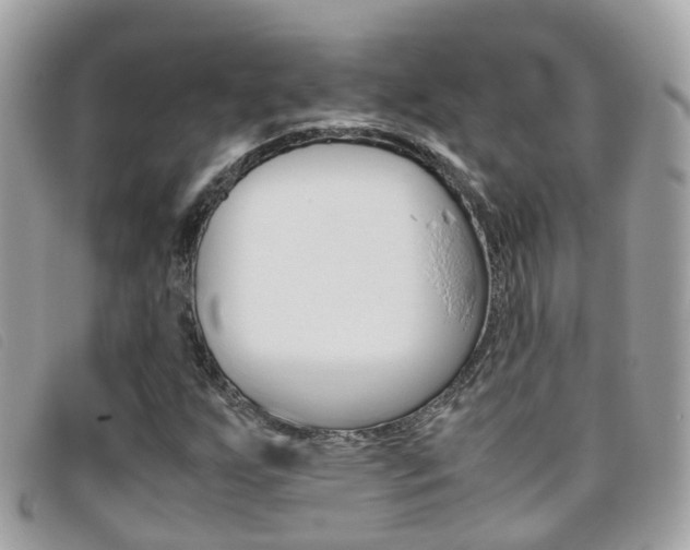 X0000095951255200801110908