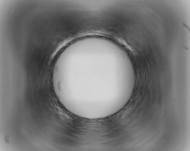 X0000095951256200801110908