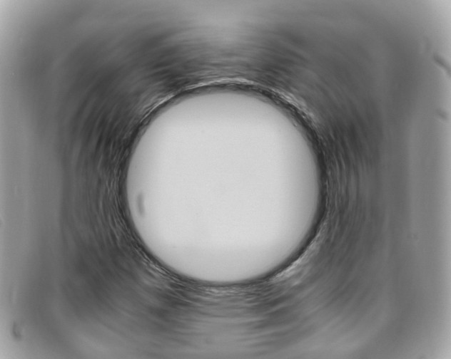 X0000095951257200801110908