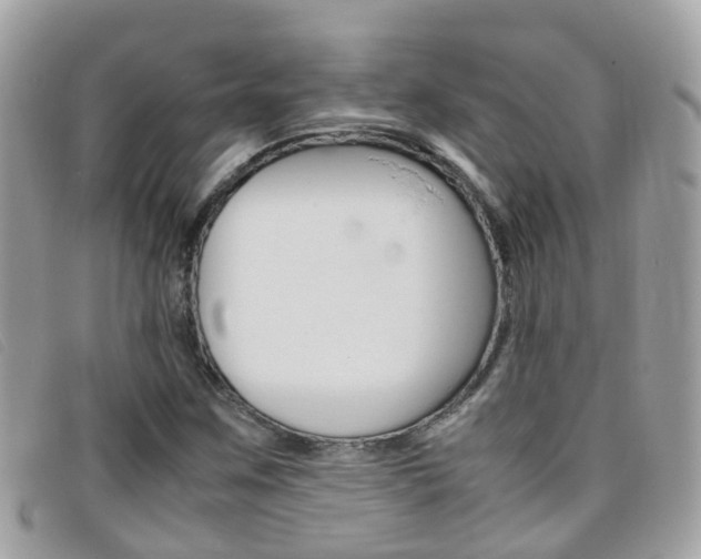 X0000095951259200801110908
