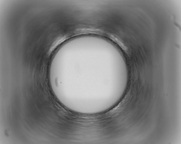 X0000095951261200801110908