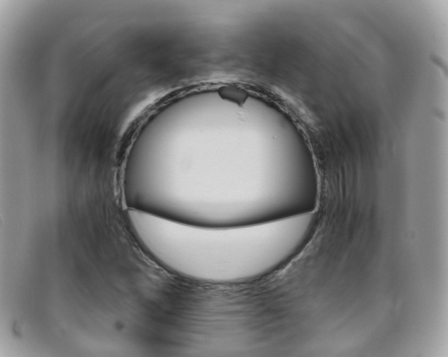 X0000095951262200801110908