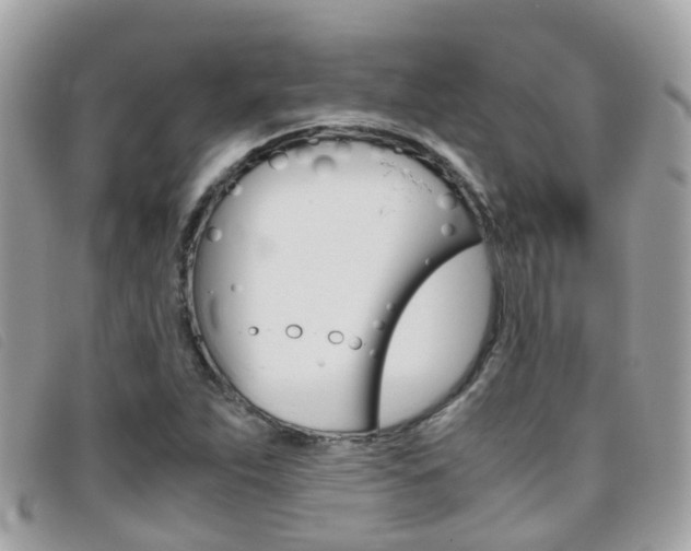 X0000095951263200801110908