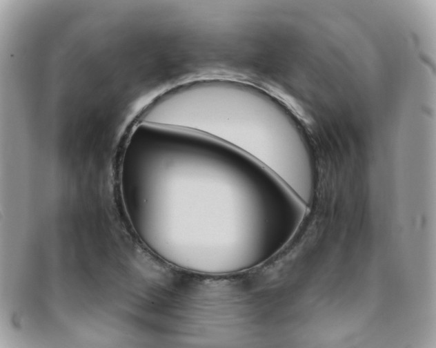 X0000095951264200801110908
