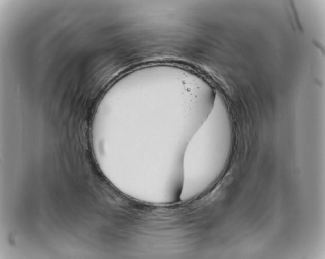X0000095951265200801110908