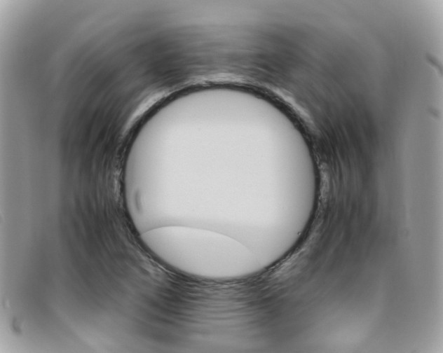 X0000095951266200801110908