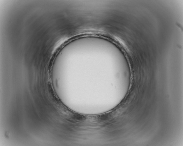 X0000095951267200801110908