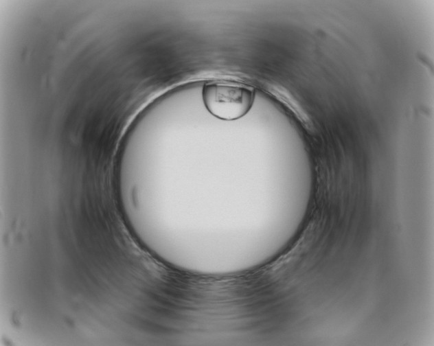 X0000095951268200801110908