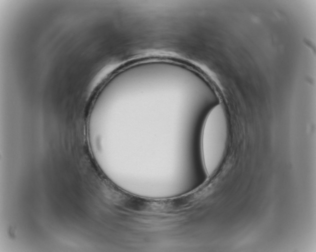 X0000095951271200801110908