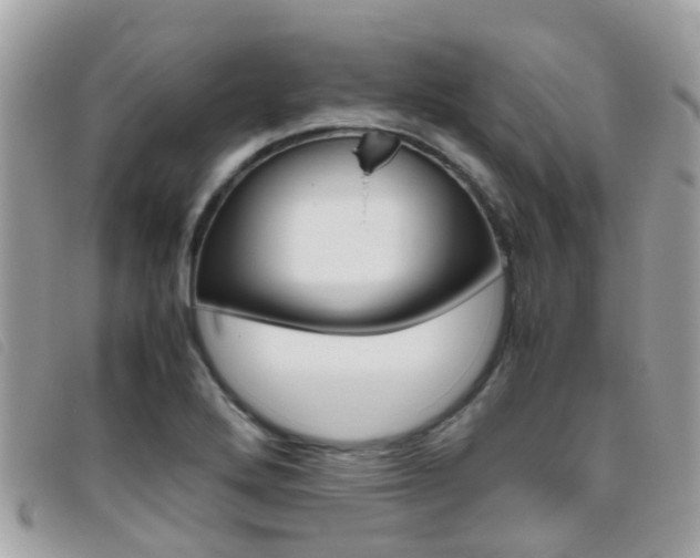 X0000095951272200801110908