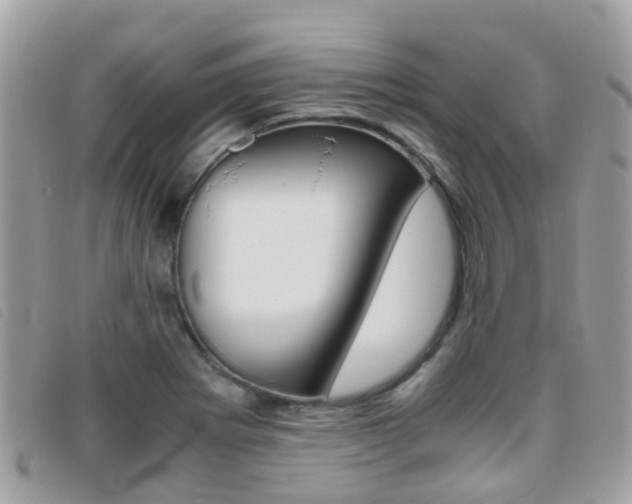 X0000095951273200801110908