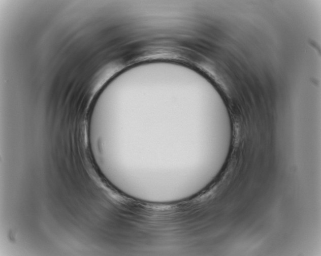 X0000095951274200801110908