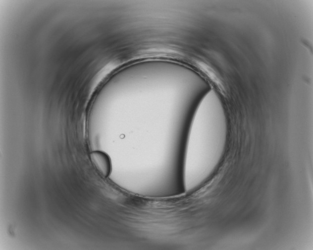 X0000095951275200801110908