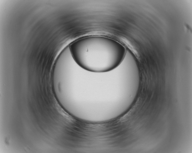 X0000095951276200801110908