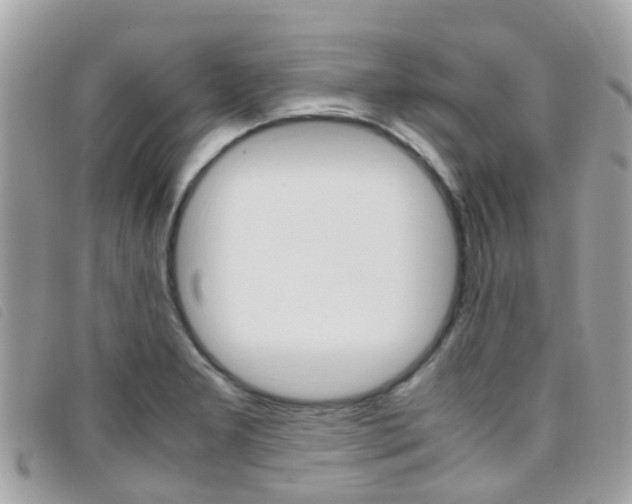 X0000095951277200801110908