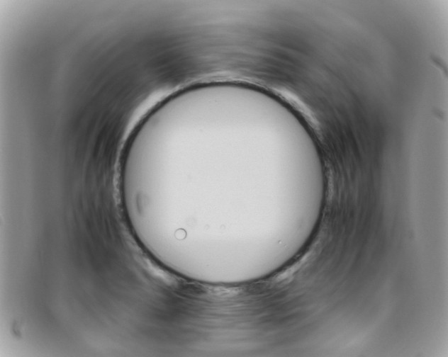 X0000095951278200801110908
