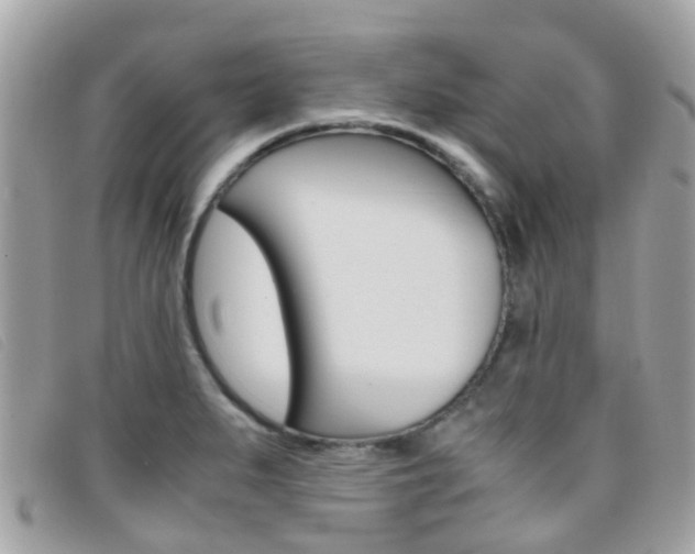 X0000095951279200801110908