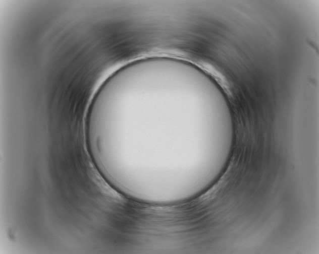 X0000095951280200801110908