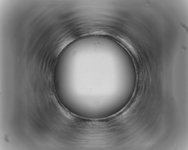 X0000095951281200801110908