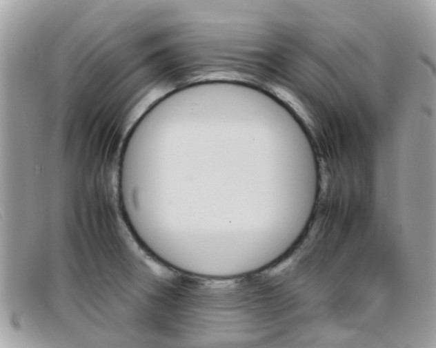 X0000095951282200801110908