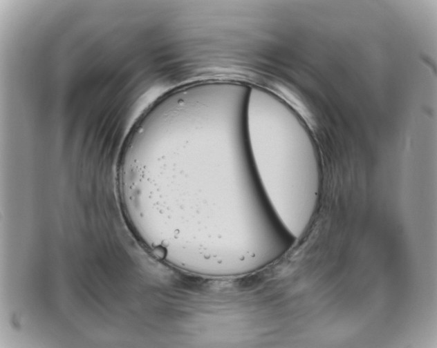 X0000095951283200801110908
