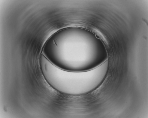 X0000095951284200801110908