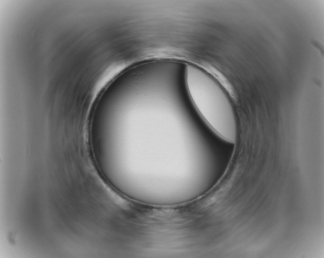 X0000095951285200801110908