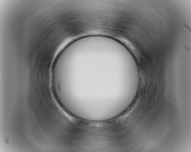 X0000095951286200801110908