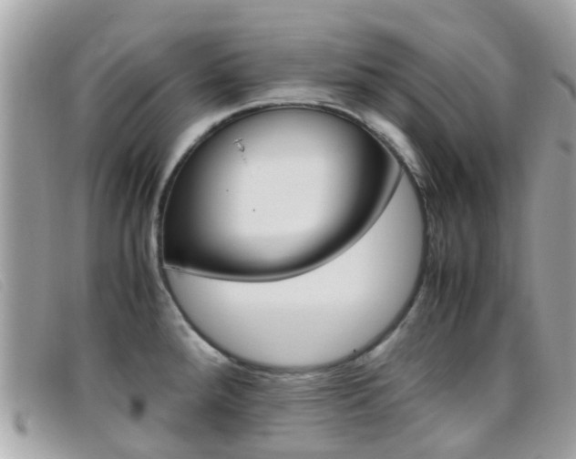 X0000095951288200801110908